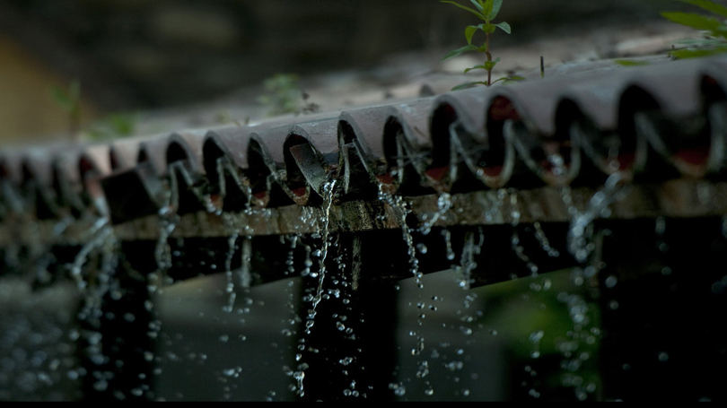 Reuso de &Aacute;guas Cinza e Aproveitamento de &Aacute;gua da Chuva